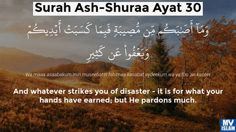 quran 42 30|quran surah shura.